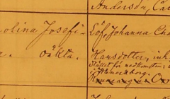 Johanna Hansdotter Löf föder sin dotter i Vänersborgs fängelse 1868. (Bild från www.arkiv.digital.se)